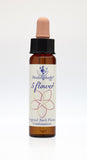 Dr Bach's Crisis Formula: 5 flower Drops (10ml)