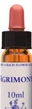 Agrimony 10ml