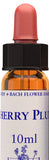 Agrimony 10ml