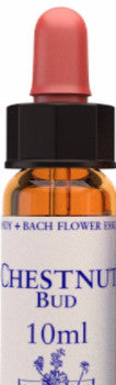 Chestnut Bud 10ml