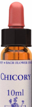 Chicory 10ml