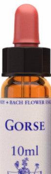 Gorse 10ml