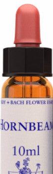 Hornbeam 10ml