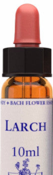 Larch 10ml