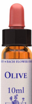 Olive 10ml