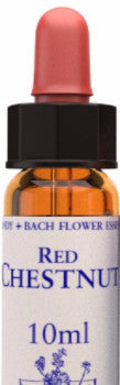 Red Chestnut 10ml