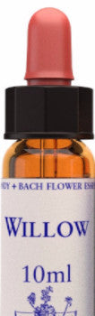 Willow 10ml