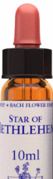 Star of Bethlehem 10ml