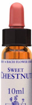 Sweet Chestnut 10ml
