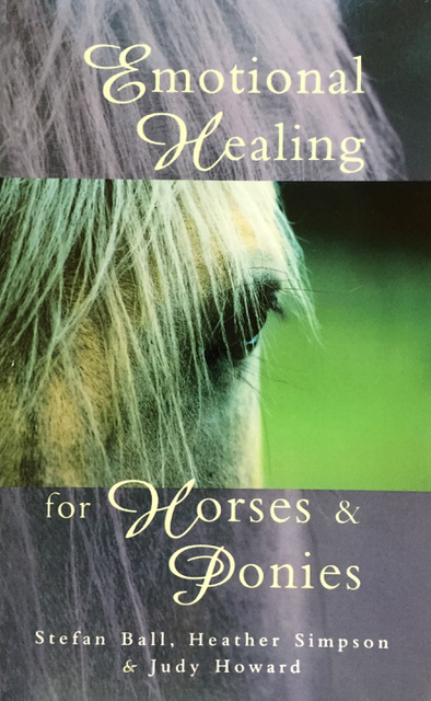 Emotional Healing for Horses & Ponies