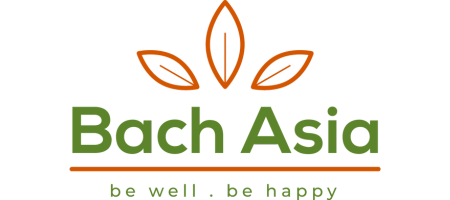Bach Asia Shop